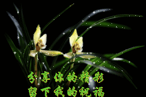 picname