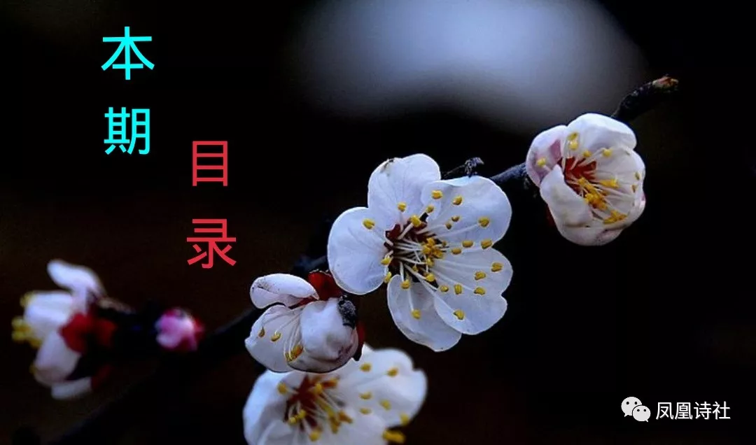 picname