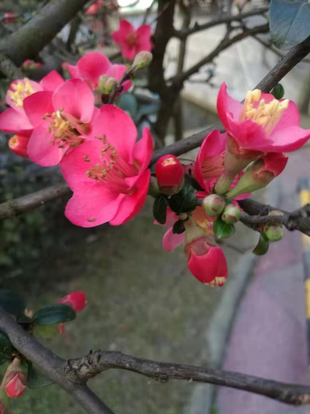 picname