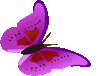 picname