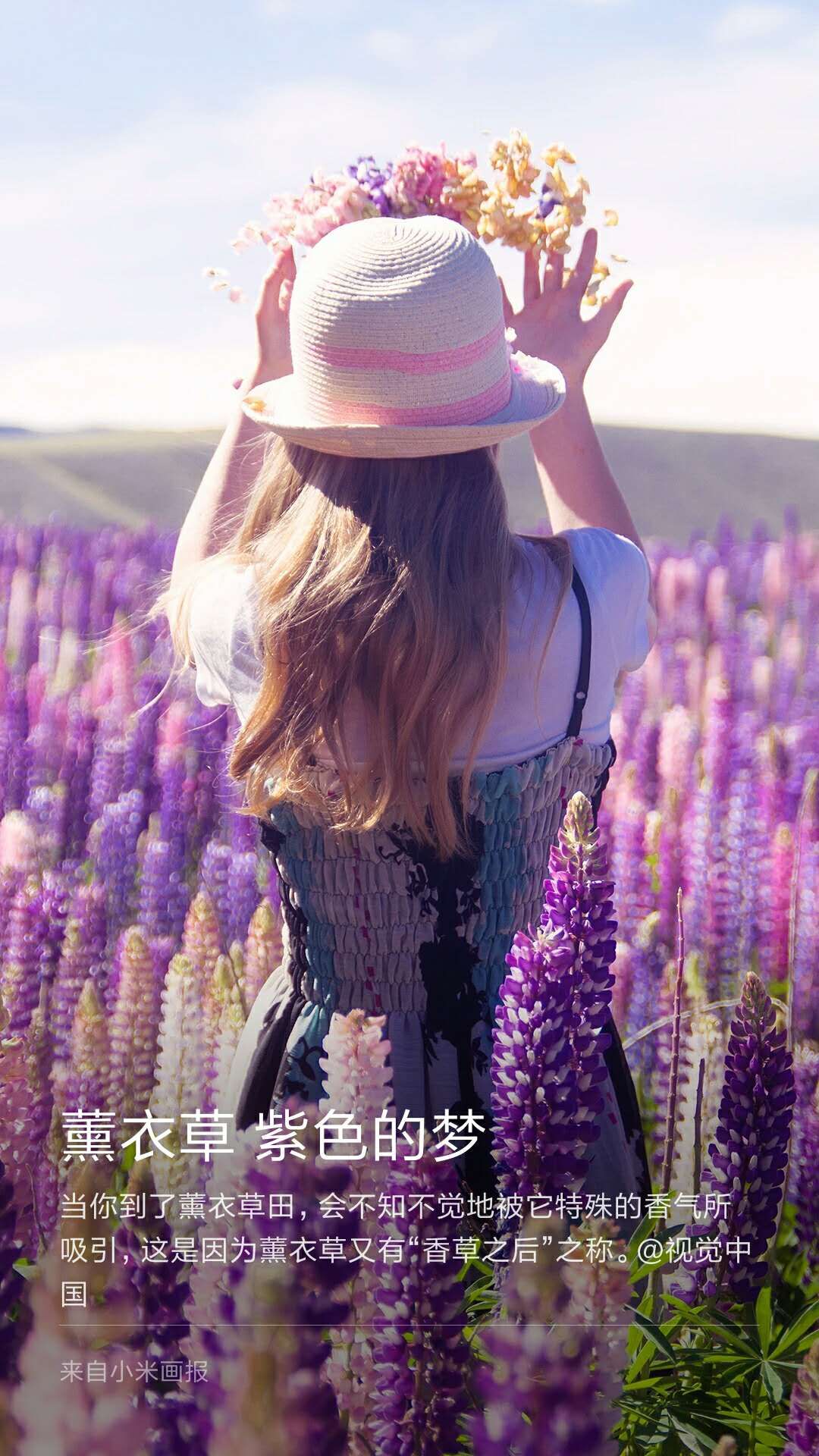 picname