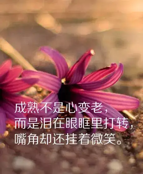 picname
