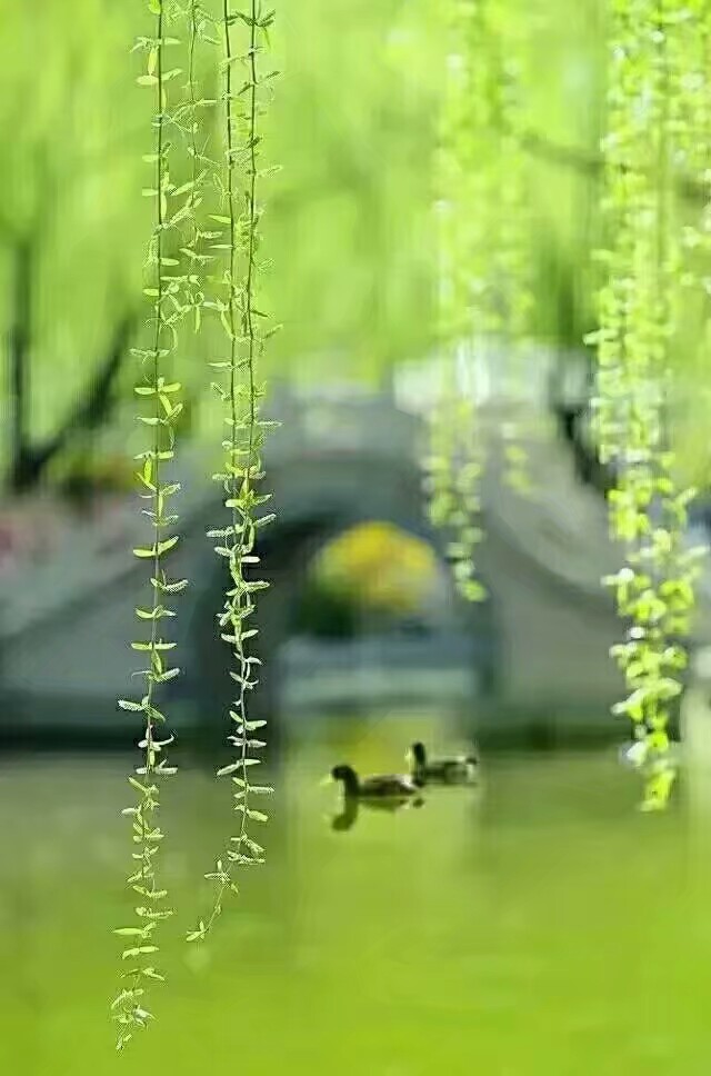 picname