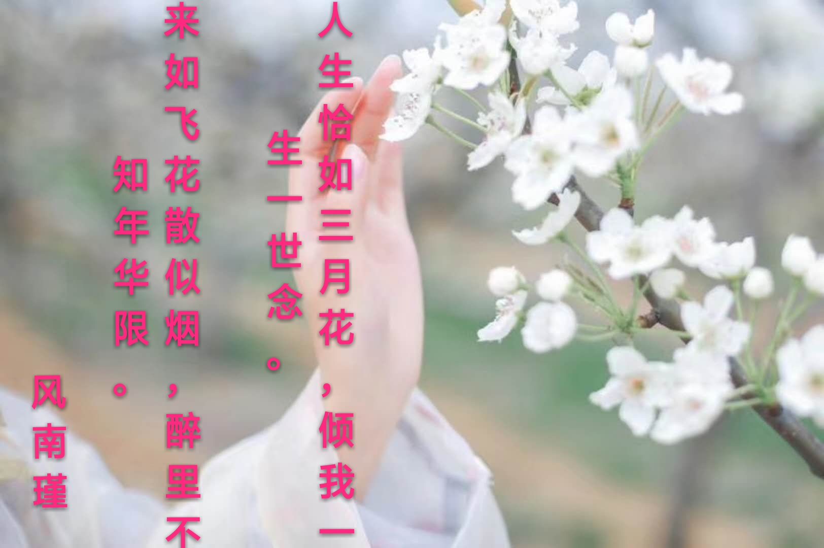 picname