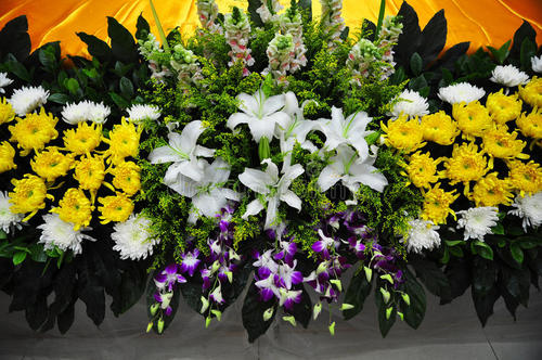 u_4246754377_900133274&fm_26&gp_0