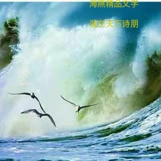mmexport1580517562600