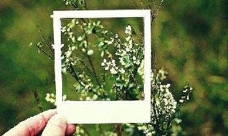 picname