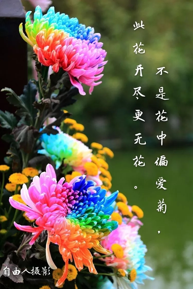 picname