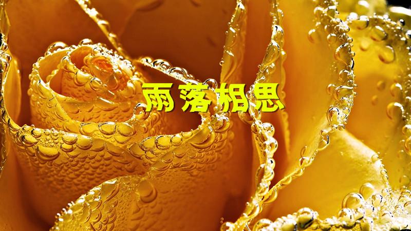picname