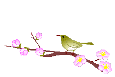 picname