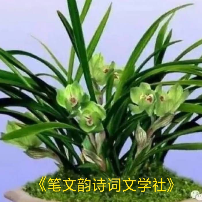 picname