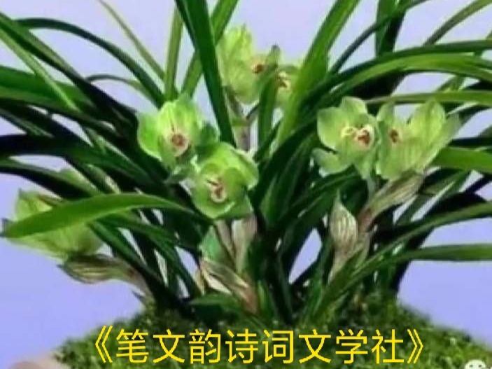 picname
