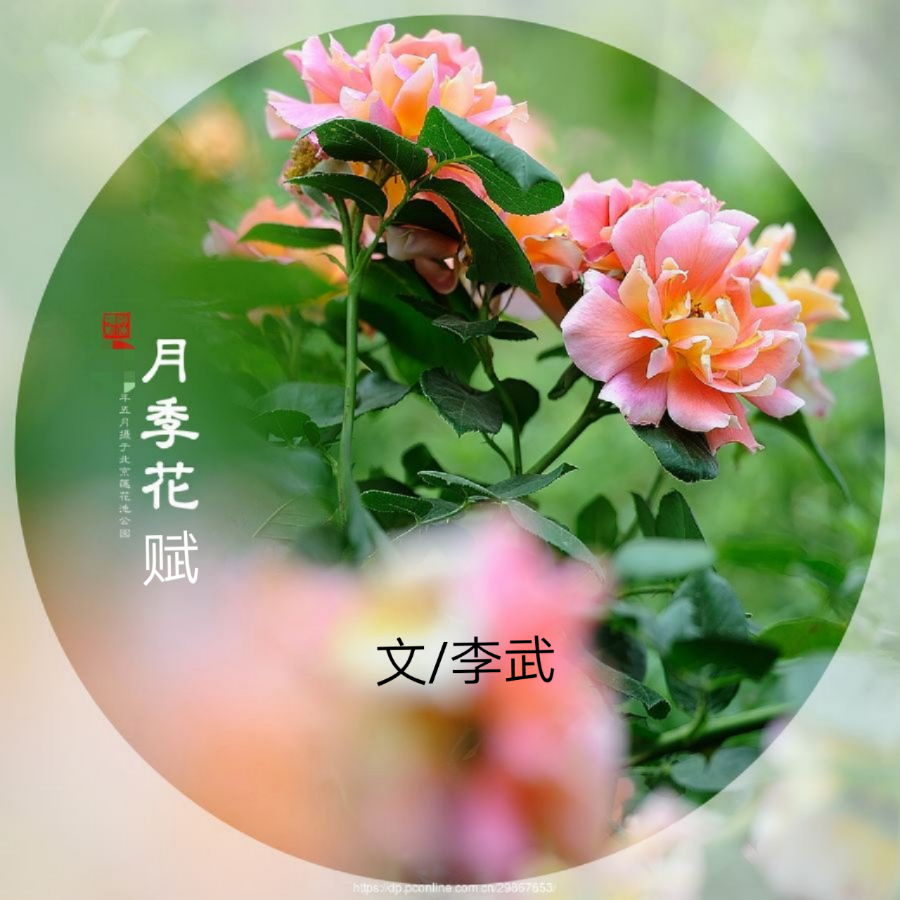 picname