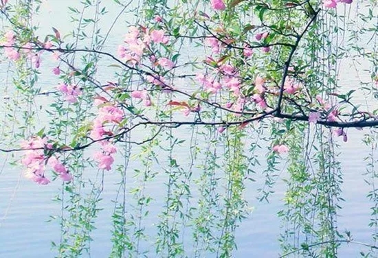 picname
