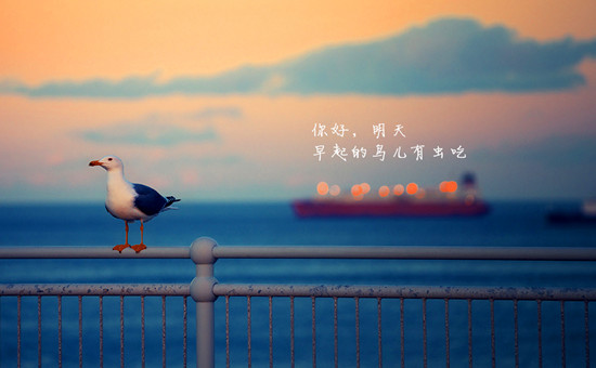picname