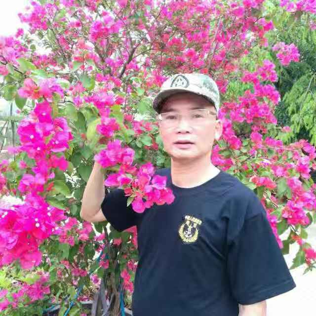 picname
