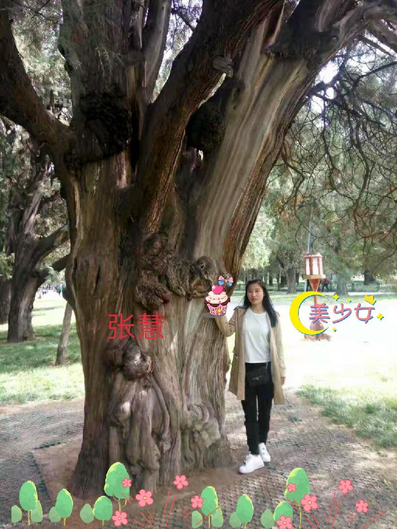 picname