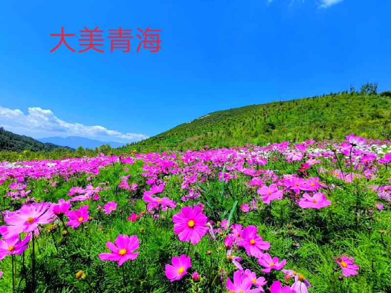 picname