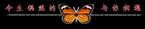 ec9021c5ff074dbaa308f5973dc0318e