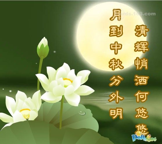 -4a3f14f61ccf86b99134418b95d5fbc5