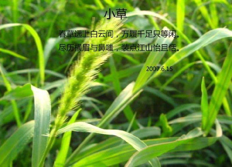 timg-123