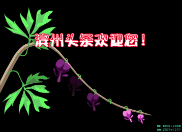 滨州头条欢迎您1