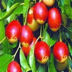 mmexport1570268002890.webp