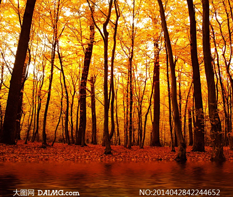 t01c720309733475398.webp