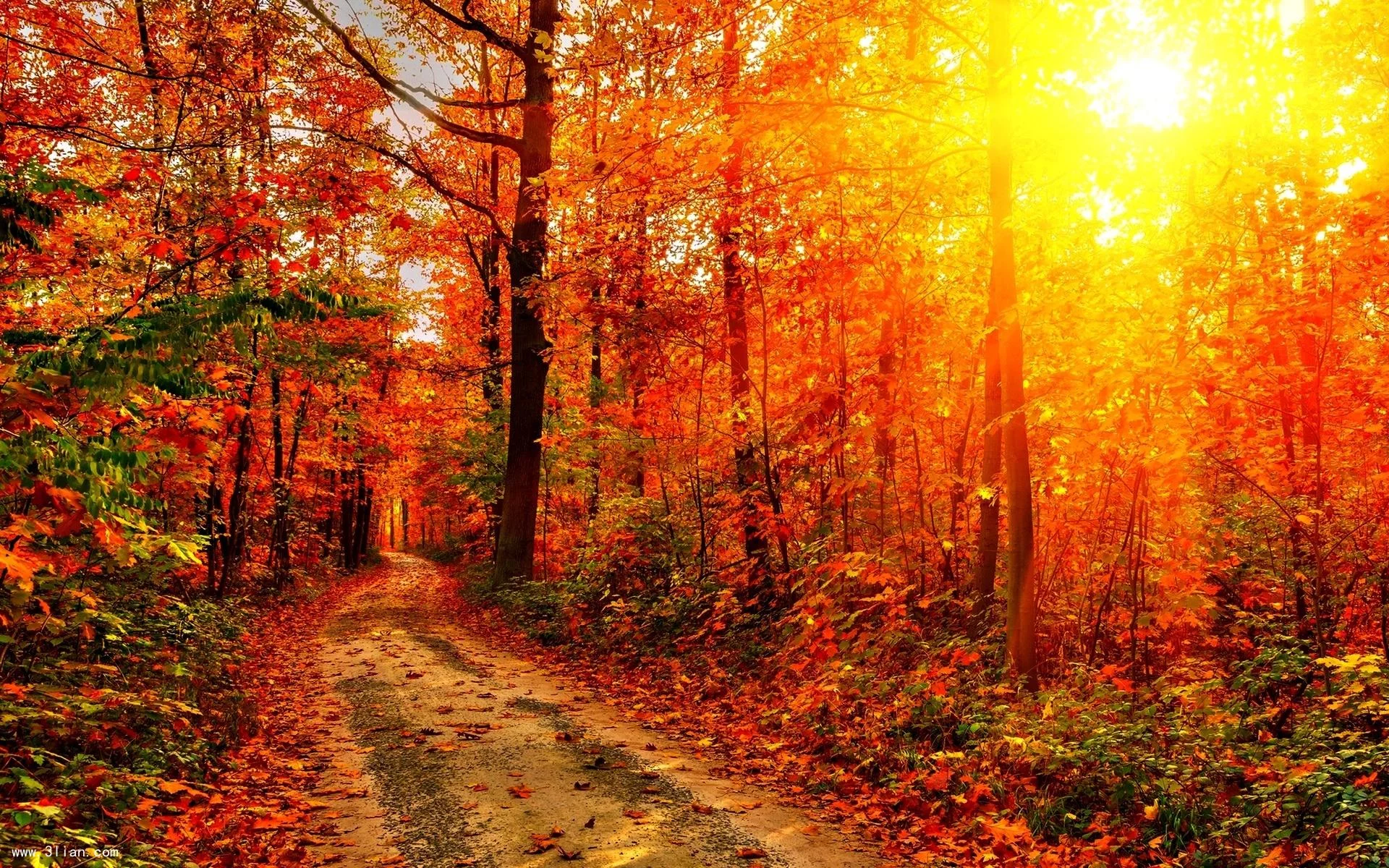 t01759baf84f39c782b.webp