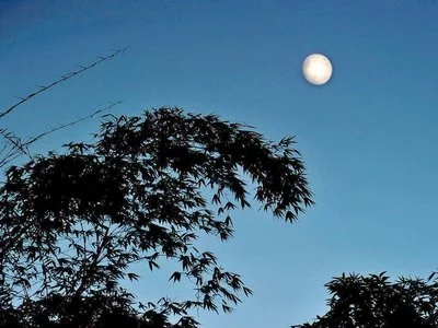 t01415ae9f44c856047.webp