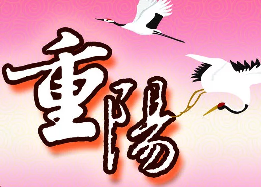 t01fbd0b729f294fa5b.webp