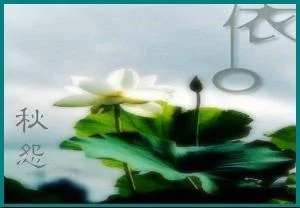 t01923d8684c845fd29.webp