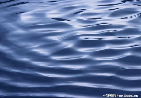 t01848c6b1c1578b310.webp
