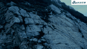 u_1792453449_265880543&fm_26&gp_0