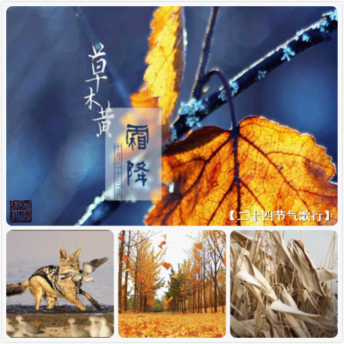 u_2320318771_1933810497&fm_26&gp_0