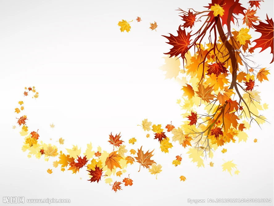 t017561d423b897c679(3).webp