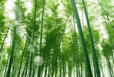 t0160c90f9e133770f5.webp