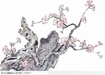 t0132956c133ff7f22e(1).webp