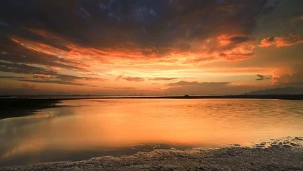 t019fccee494c17dcc5.webp