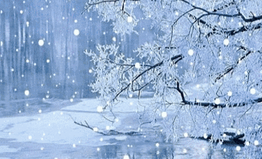 4D644468-F8EF-4A01-AD93-DDC594E471A1