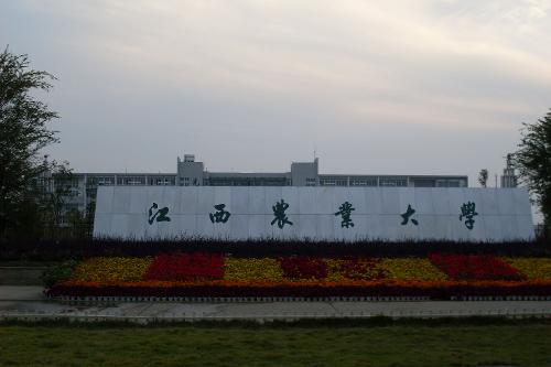 20130619190720-407301929