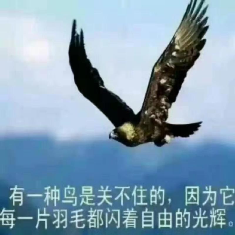 mmexport1577631345462