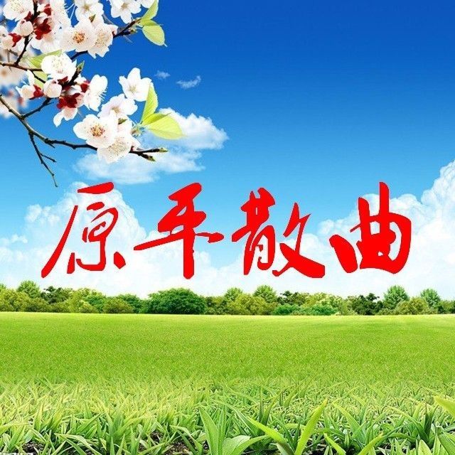 mmexport1577679300461