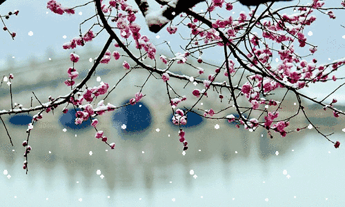 1577511088405.GIF