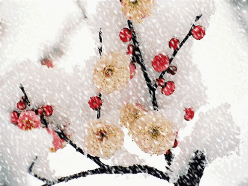 1577511078204.GIF