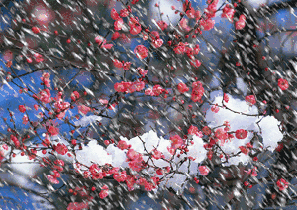 1577511081294.GIF