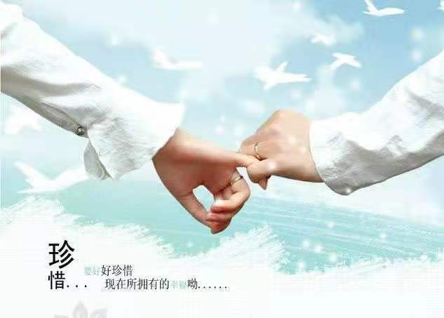 mmexport1574549723125