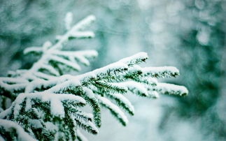 IMG_20200107_133655