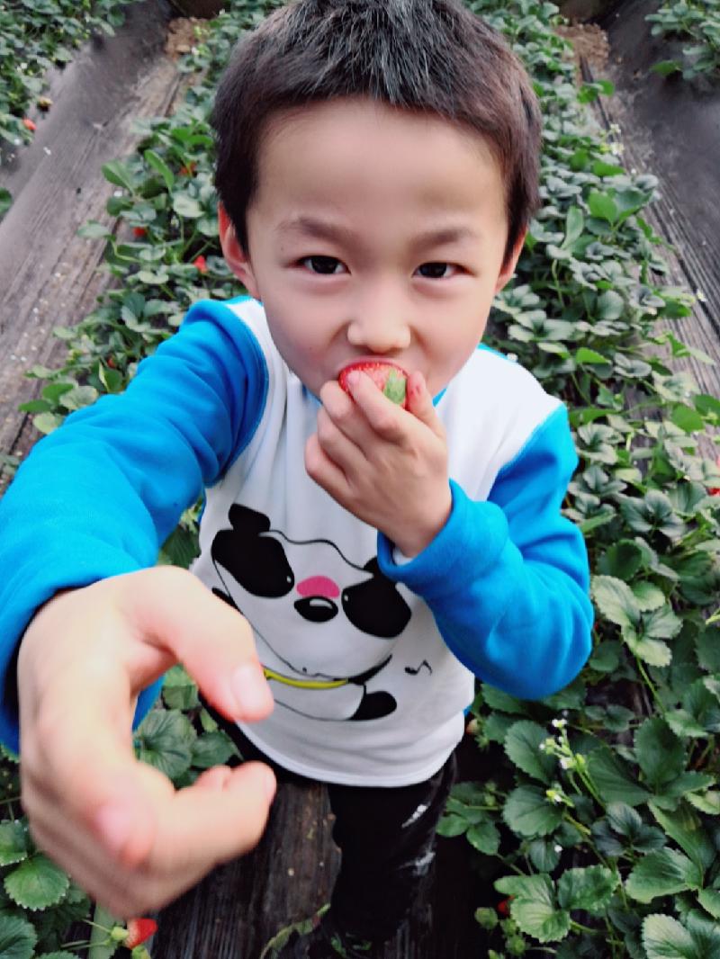 faceu_0_20200104144323497