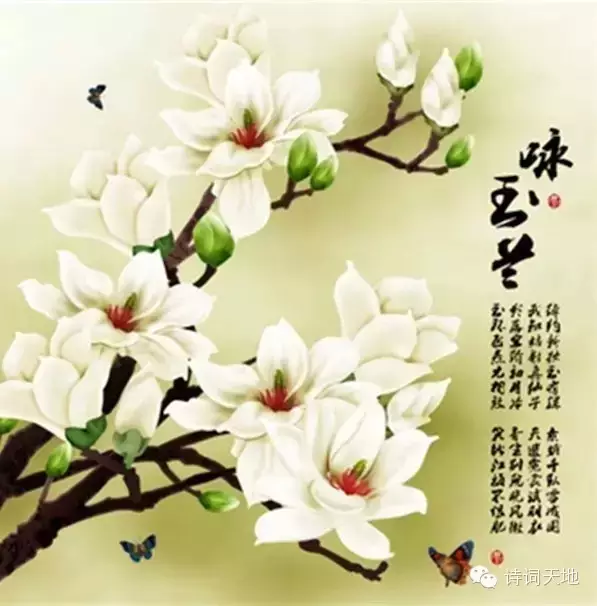 mmexport1427112472501.webp